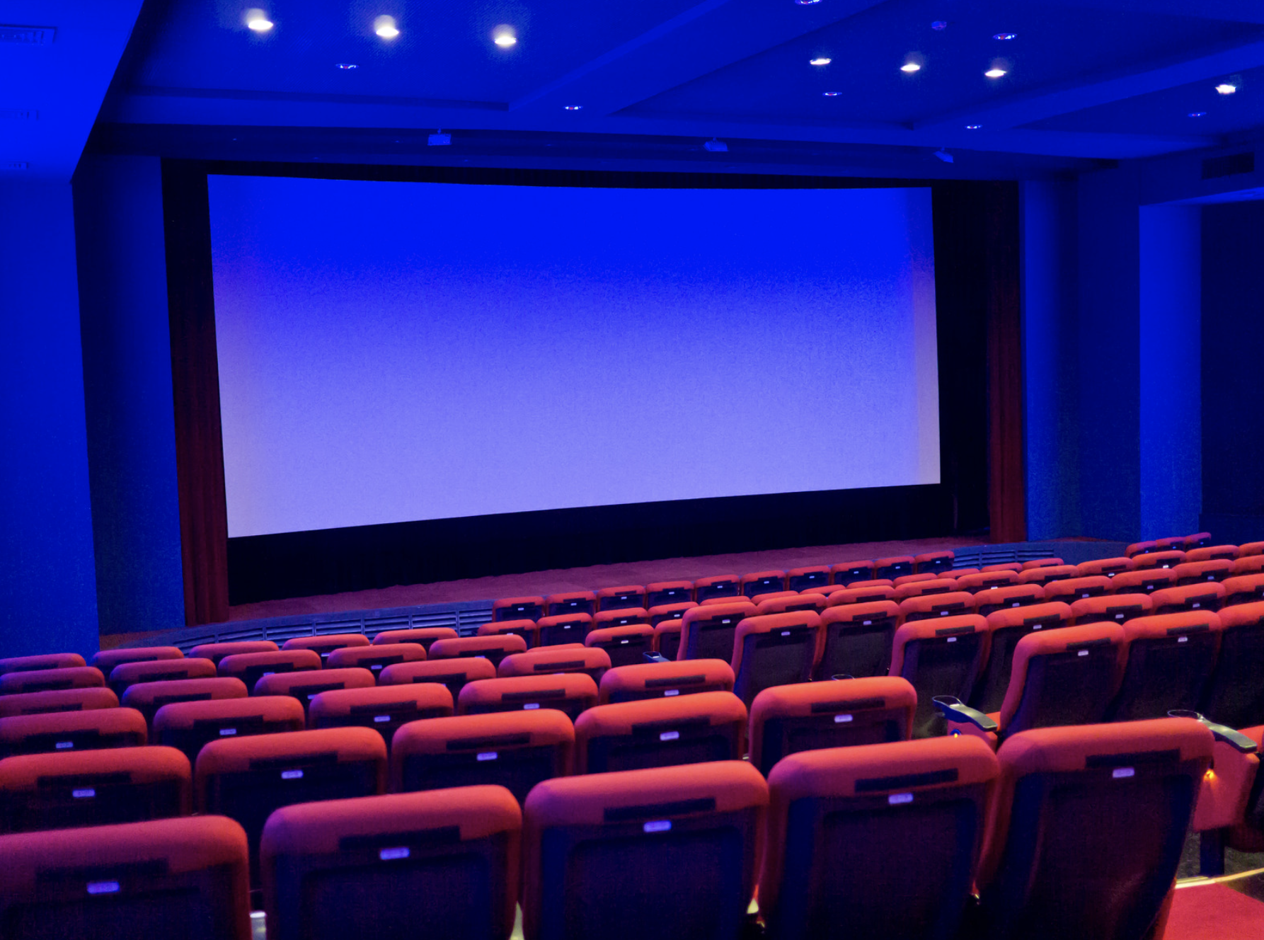 El Nuevo Cine Argentino: Conquistando el escenario internacional