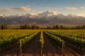 Mendoza entre los mejores destinos del mundo en 2026: que hacer, donde ir y por que visitarla este invierno